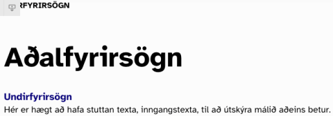 Dæmi um fyrirsögn á vef HÍ